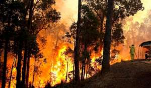 Лесные пожары в Европе. Фото: http://www.sb.by