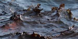 Разлив нефтепродуктов. Фото: http://saint-petersburg.ru