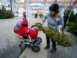 &quot;Гринпис&quot; советует россиянам встречать Новый год без искусственных елок, но с еловыми букетами. Фото: Russian Look