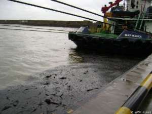 Река вынесла разлившуюся нефть в море. Фото: WWF