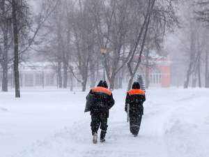 Мокрый снег ожидается в центральном регионе России, МЧС рекомендует соблюдать осторожность. Фото: Moscow-Live.ru