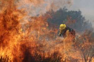 Лесные пожары в ЮАР. Фото: http://fototelegraf.ru