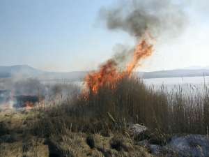 Пожар в тросниковых зарослях. Фото: пресс-служба заповедника &quot;Хакасский&quot;