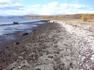 Иркутские ученые собираются исследовать причины массовой гибели уникальных пресноводных губок, которые очищают воду в озере Байкал. Фото: YouTube.com / Тимур Балашов