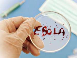 Напомним, с марта 2014 года от лихорадки, вызванной вирусом Эбола, скончались более 10500 человек, всего зарегистрировано свыше 25500 случаев заболевания. Фото: Global Look Press
