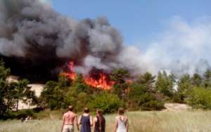 15% лесных пожаров в 2015 году обнаружено бдительными гражданами. Фото: http://lesvesti.ru