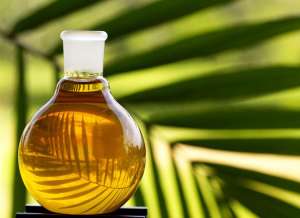 Пальмовое масло. Фото: http://nashezdorovie.info