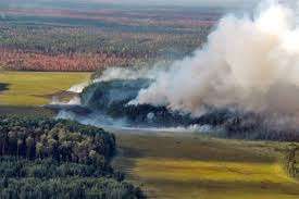 Площадь лесных пожаров в Сибири увеличилась до 138,5 тысячи гектаров