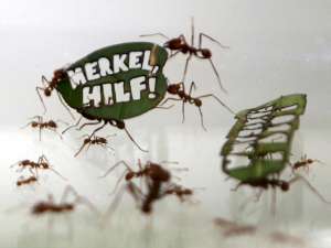 В Германии полмиллиона муравьев призвали Меркель защитить тропические леса Амазонки. Фото:  Reuters
