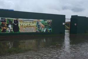  Наводнение в зоопарке «Чудесный». Фото: Зотова Екатерина