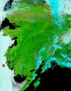Спутниковый снимок Аляски, сделанный 14 июня 2015 года. Фото: NASA/ NASA/Goddard, Lynn Jenner