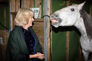 Камилла, герцогиня Корнуолльская, и лошадь. Фото: Chris Jackson / AP