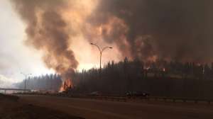 Лесные пожары в Канаде. Фото: http://ntv.ru
