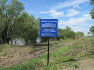 Фото: Департамент природных ресурсов и охраны окружающей среды Новосибирской области