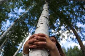  Благодаря выбросу человеком в атмосферу парниковых газов идет бурный рост лесов. Фото: Сергей Михеев/ РГ 