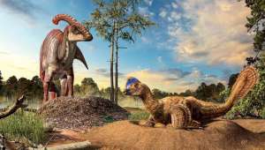 Генетики: динозавры мезозойской эры имели цветное зрение &quot;птичьего типа&quot; и видели мир в красных оттенках. Иллюстрация Julius Csotonyi.