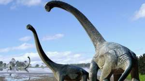 Так, по мнению ученых, выглядели титанозавры, обитавшие на Земле около 100 млн лет назад. AFP