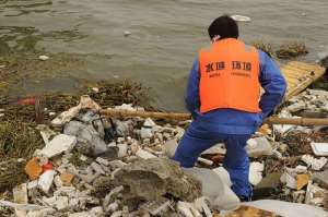Очистка главного водохранилища Шанхая от мусора. Фото: PETER PARKS/AFP/Getty Images