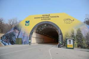 Нарвинский тоннель. Фото: пресс-служба администрации Приморского края