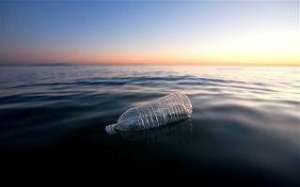 Пластиковые отходы могут содержаться в морепродуктах. Иллюстрация telegraph.co.uk