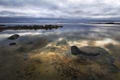 Соловецкие острова - одно из «Рамсарских угодий» России (Фото: zebra0209, Shutterstock)