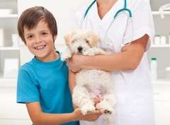 Сегодня — День ветеринарного врача — один из самых гуманных праздников (Фото: Ilike, Shutterstock)