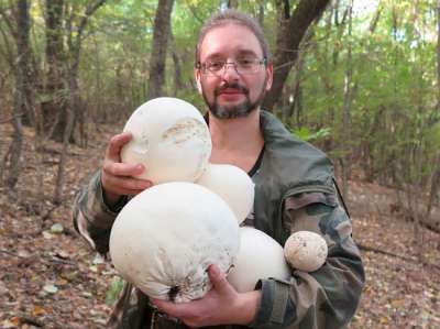 Главный «грибовед» страны Михаил Вишневский: Россия должна продавать грибы на Запад за валюту, как нефть 