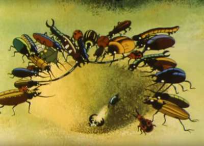 Путешествие муравья / Союзмультфильм, 1983