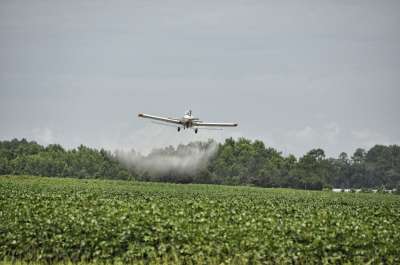 Промышленный выпуск пестицидов принес населению планеты больше вреда, чем пользы