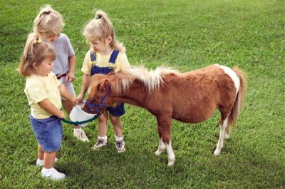 Катать малыша верхом на крошечной лошадке можно начиная с самых малых лет. 