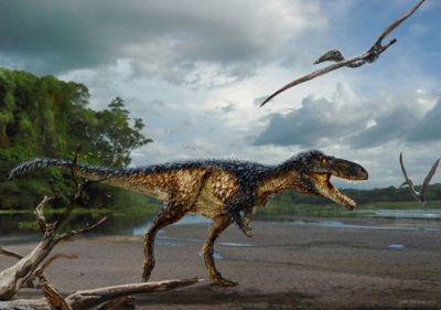 В 2016 году палеонтологи заявили, что близкий родственник тираннозвра (Tyrannosaurus rex) хоть и не был столь же большим, как всеми признанный &quot;царь динозавров&quot;, но обладал удивительно развитым мозгом для своего небольшого размера.