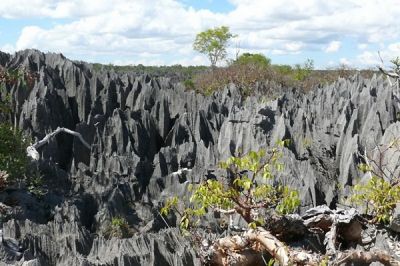 Каменный лес. Заповедник Цинжи-Дю-Бемараха на Мадагаскаре является объектом Всемирного наследия ЮНЕСКО и местом, где можно увидеть Каменный лес. 