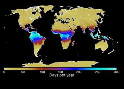 Карта количества дней в году в период с 2060 по 2080 год, когда температура влажного термометра превышает среднее значение 1985 – 2005 годов / E. D. Coffel et al./ Environmental Research Letters, 2017