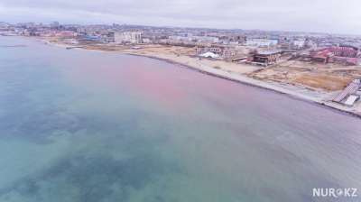 «Красное море»: Экологи рассказали о причинах окраса воды на Каспии