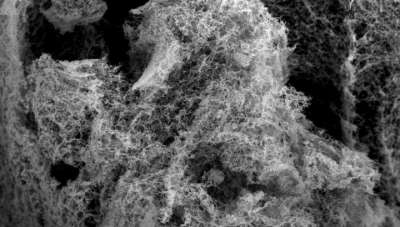Пористая структура наногубки из железа и никеля под микроскопом. Фото Washington State University.