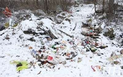 В Брянской области, возле маслозавода в Севске прокуроры обнаружили мусорный полигон