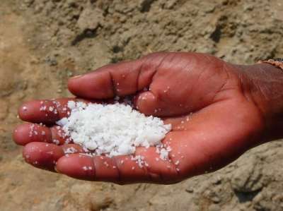 Некоторые учёные не согласились, что соль действительно безопасна.