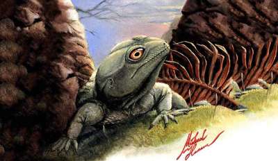 Жившие на заре эпохи динозавров рептилии Colobops noviportensis при размерах с мелкую ящерицу обладали необычайно мощным укусом.