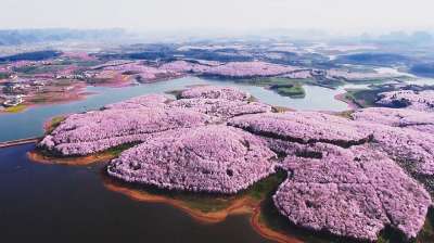 Обычно люди во всем мире ассоциируют цветение сакуры с весной в Японии, но цветущие вишни в Китае настолько волшебны, что вполне могли бы стать национальным символом этой страны.