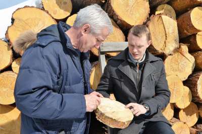 Андрей Николаев (справа) и Ислям Зайнуллов исследуют вещественные улики - арестованную древесину. Фото: Анатолий Меньшиков/РГ