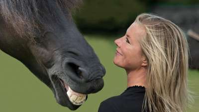 Лошади запоминают предыдущую эмоцию человека и встречают его снова в соответствии с выражением лица.
