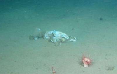 Океанолог рассказал НСН как можно решить проблему загрязнения пластиком Мирового океана.