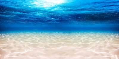 Второе по величине в мире океанское «мертвое пятно» продолжает расти, сообщает Phys.org © stockphoto-graf | Shutterstock