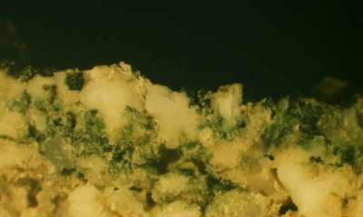 Срез горной породы в Австралии, показывающий колонию микроорганизмов (отмечены зеленым), которые используют хлорофилл f. © Dennis Nuernberg