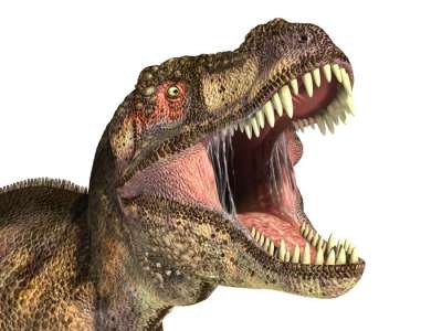 Доисторические наземные ящеры вряд ли могли свободно двигать языком – в отличие от летающих птерозавров.