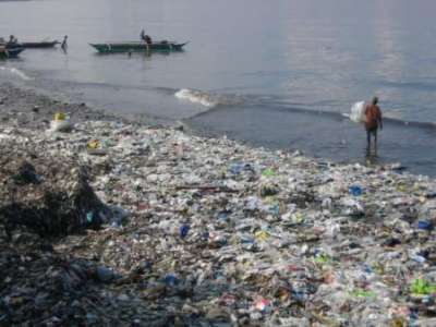 Полиэтиленовые пакеты являются не только одним из самых распространенных, но и самых стойких видов мусора - в почве срок их распада составляет от 100 до 500 лет. Особенно пагубно этот мусор влияет на морскую фауну. Иллюстрация ecofriendly.ru