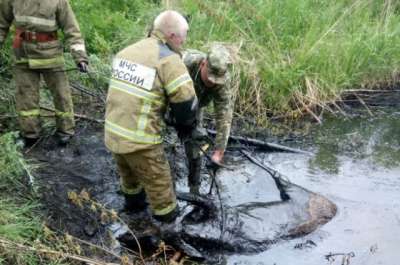 Если бы житель Осинского района случайно не увидел лося, увязшего в нефтяной луже, о разливе никто бы не узнал. © / ГУ МЧС России
