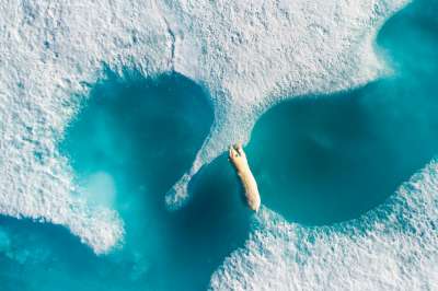 &quot;Черные дыры&quot; во льдах океана - признаки стремительного потепления. Фото: AP