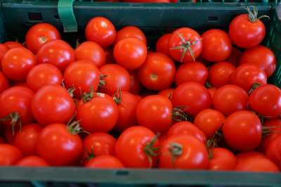 Употребление тушеных помидоров замедляет распространение зараженных раковых клеток и в конечном итоге ведет к их гибели