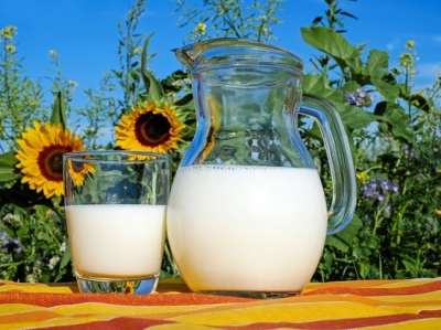 Молоко на завтрак снизило уровень глюкозы и повысило сытость